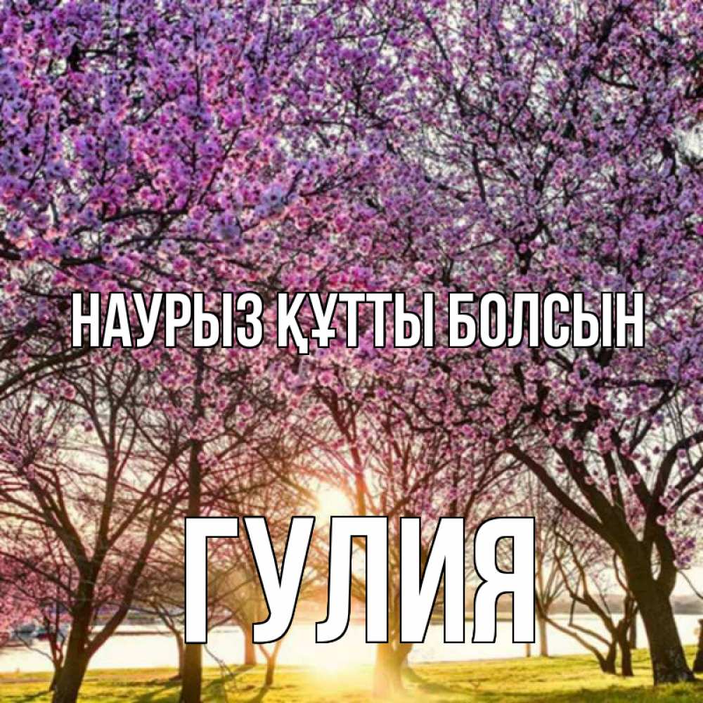 Открытка на каждый день с именем, Гулия Наурыз құтты болсын наурыз Прикольная открытка с пожеланием онлайн скачать бесплатно 