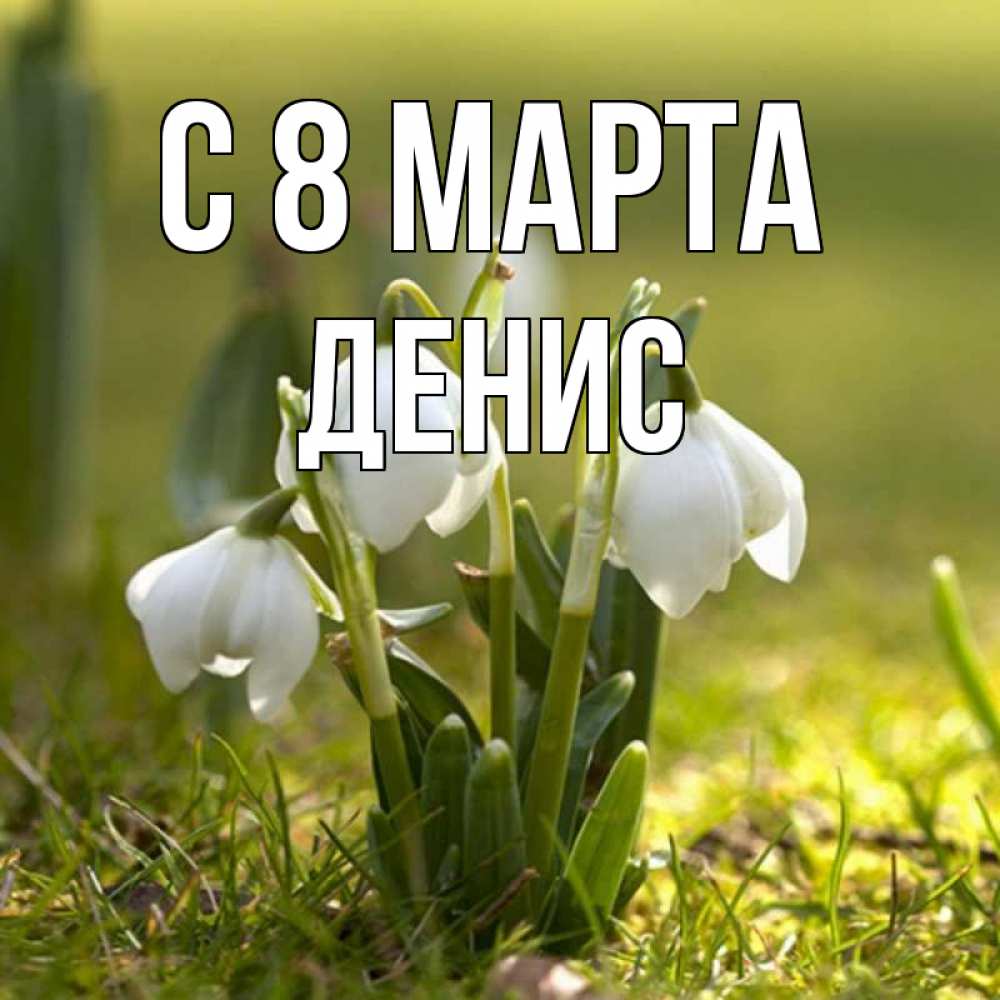Открытка на каждый день с именем, Денис С 8 МАРТА ранние цветы 2 Прикольная открытка с пожеланием онлайн скачать бесплатно 