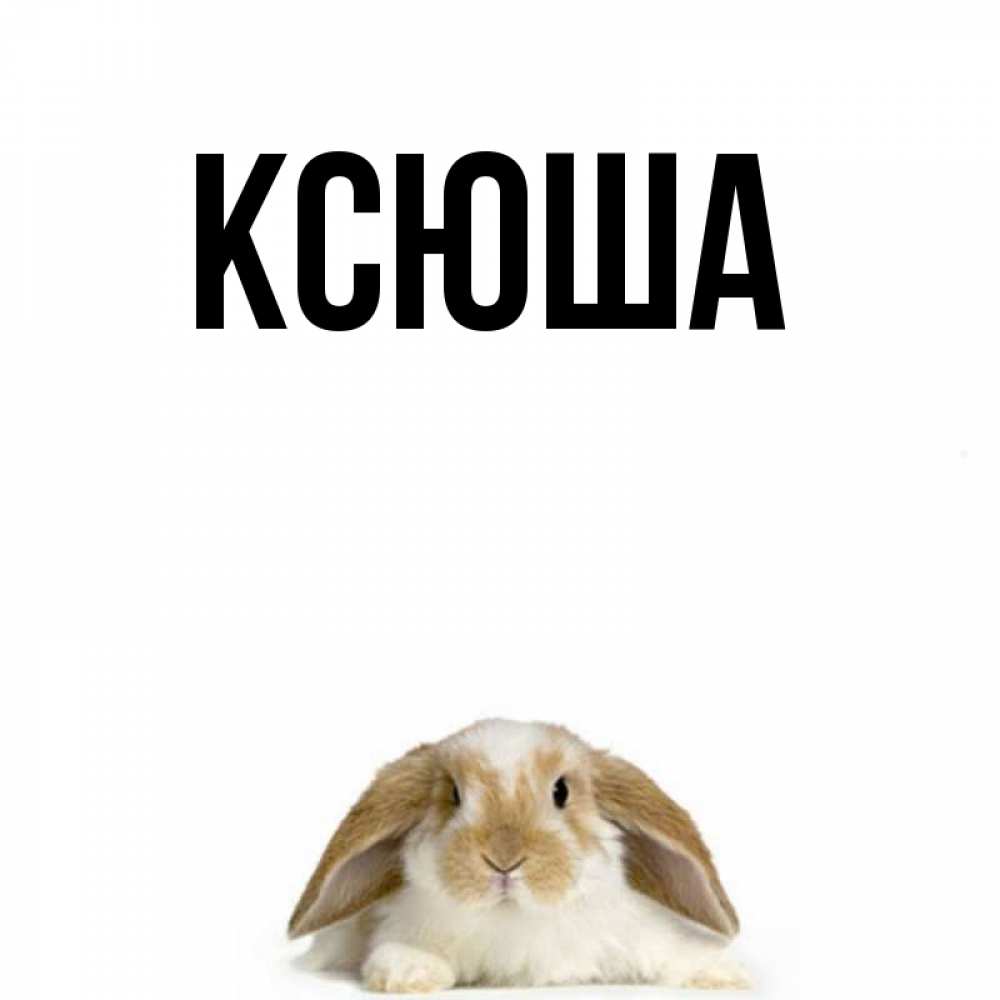 Открытка на каждый день с именем, Ксюша Главная коричнево белый заяц с большими ушками Прикольная открытка с пожеланием онлайн скачать бесплатно 