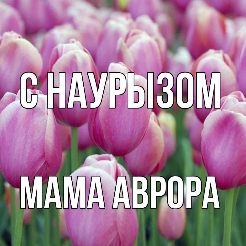 Открытка на каждый день с именем, Мама-Аврора С наурызом праздник весны наурыз 69 Прикольная открытка с пожеланием онлайн скачать бесплатно 