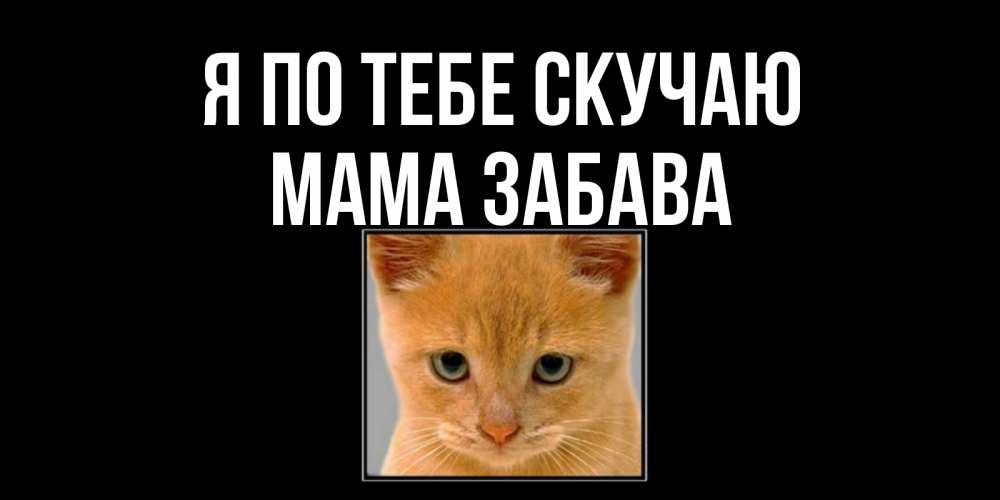Открытка на каждый день с именем, Мама-Забава Я по тебе скучаю открытки рыжий котенок скучает по тебе Прикольная открытка с пожеланием онлайн скачать бесплатно 