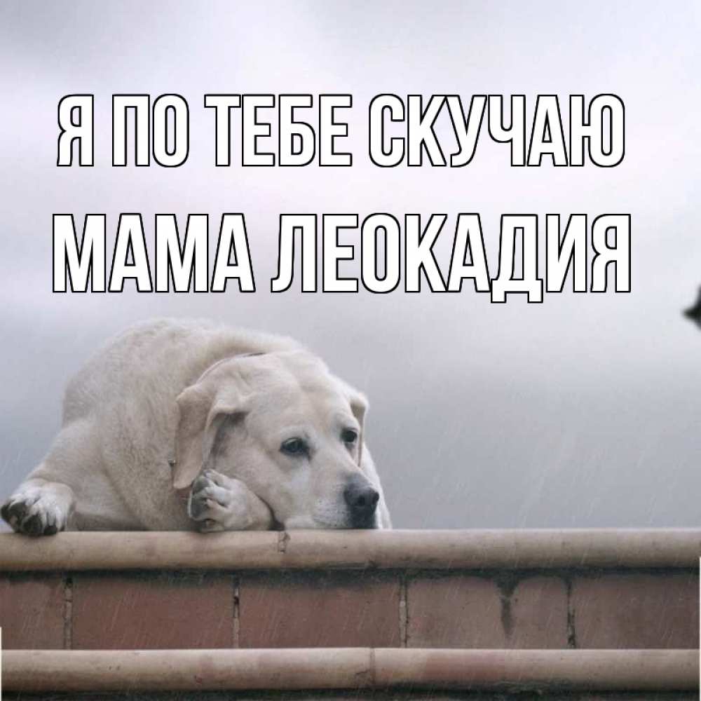 Открытка на каждый день с именем, Мама-Леокадия Я по тебе скучаю ждет Прикольная открытка с пожеланием онлайн скачать бесплатно 