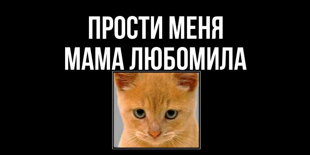 Открытка на каждый день с именем, Мама-Любомила Прости меня рыжий грустный кот просит прощения Прикольная открытка с пожеланием онлайн скачать бесплатно 