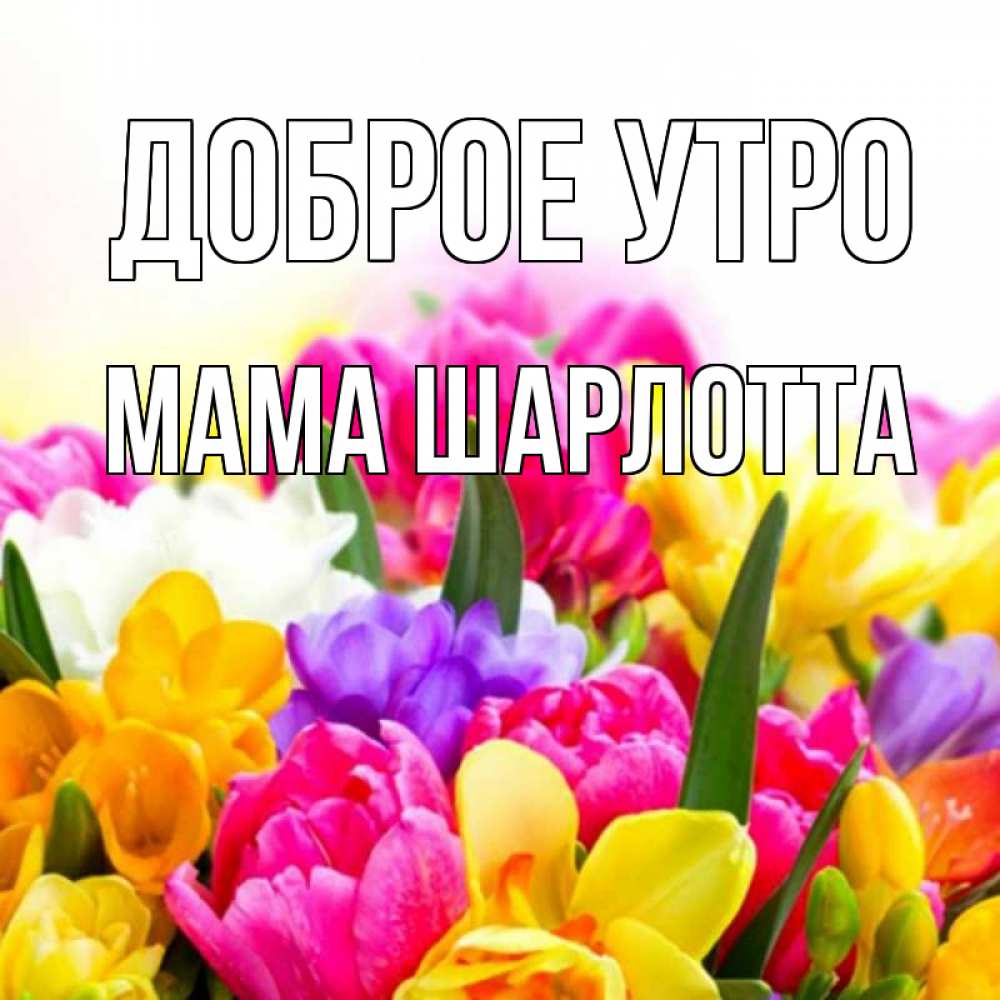 Открытка на каждый день с именем, Мама-Шарлотта Доброе утро создать открытку со свое подписью Прикольная открытка с пожеланием онлайн скачать бесплатно 