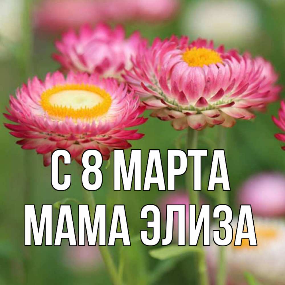 Открытка на каждый день с именем, Мама-Элиза С 8 МАРТА подарок на международный женский день Прикольная открытка с пожеланием онлайн скачать бесплатно 