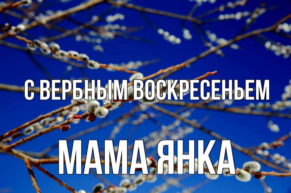 Открытка на каждый день с именем, Мама-Янка С вербным воскресеньем верба Прикольная открытка с пожеланием онлайн скачать бесплатно 