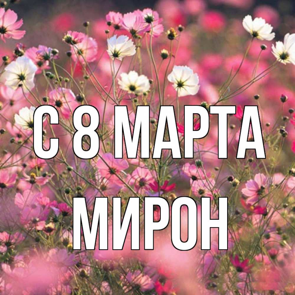 Открытка на каждый день с именем, Мирон С 8 марта красиво 1 Прикольная открытка с пожеланием онлайн скачать бесплатно 