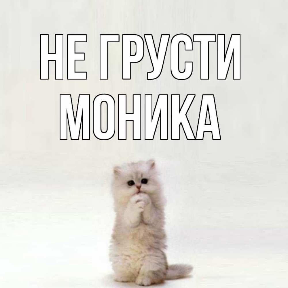 Открытка на каждый день с именем, Моника Не грусти грустный кот Прикольная открытка с пожеланием онлайн скачать бесплатно 
