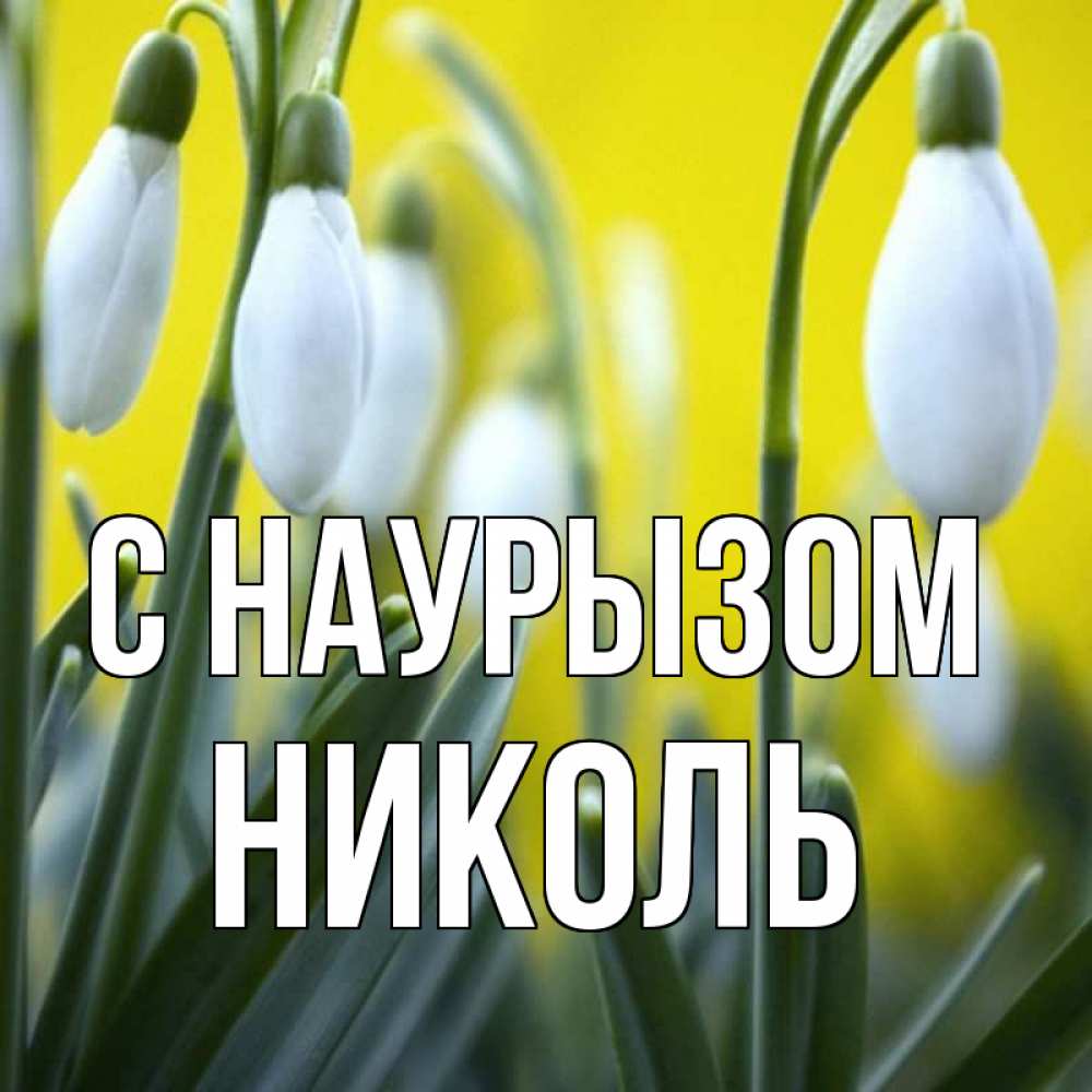 Открытка на каждый день с именем, Николь С наурызом весенние цветы Прикольная открытка с пожеланием онлайн скачать бесплатно 