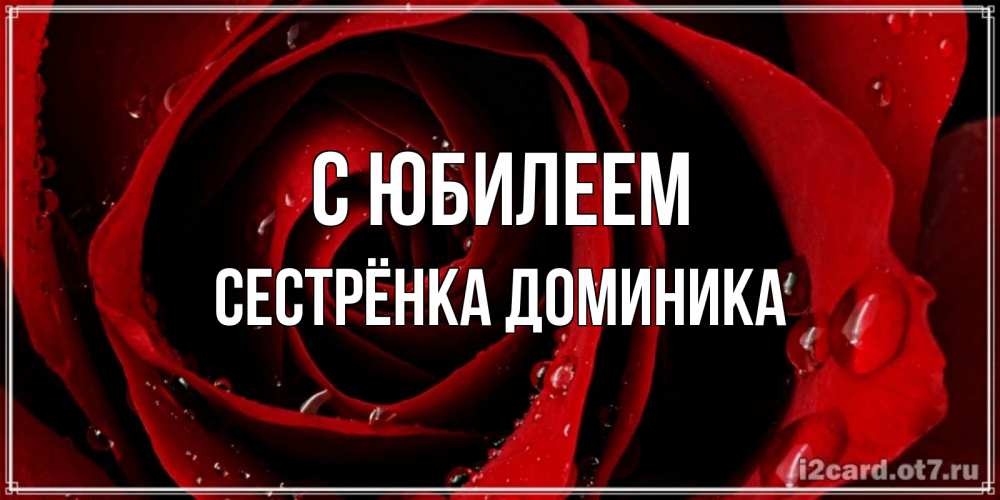 Открытка на каждый день с именем, Сестрёнка-Доминика С юбилеем крупная бордовая роза Прикольная открытка с пожеланием онлайн скачать бесплатно 