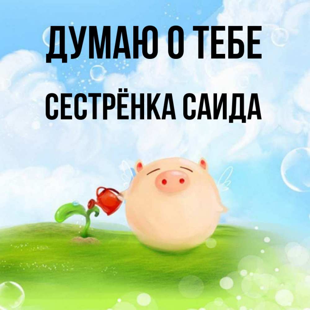Открытка на каждый день с именем, Сестрёнка-Саида Думаю о тебе позитивная свинюшка Прикольная открытка с пожеланием онлайн скачать бесплатно 
