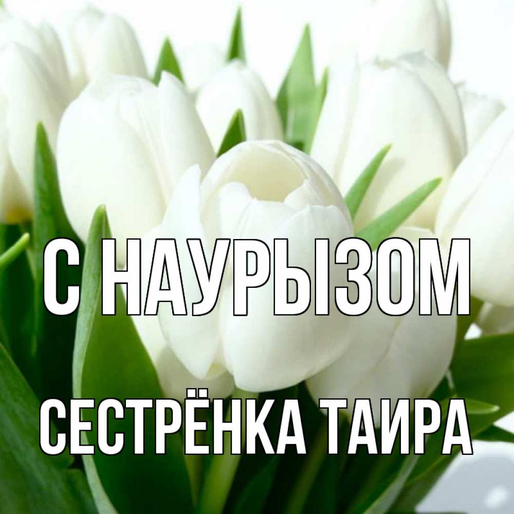 Открытка на каждый день с именем, Сестрёнка-Таира С наурызом цветы Прикольная открытка с пожеланием онлайн скачать бесплатно 
