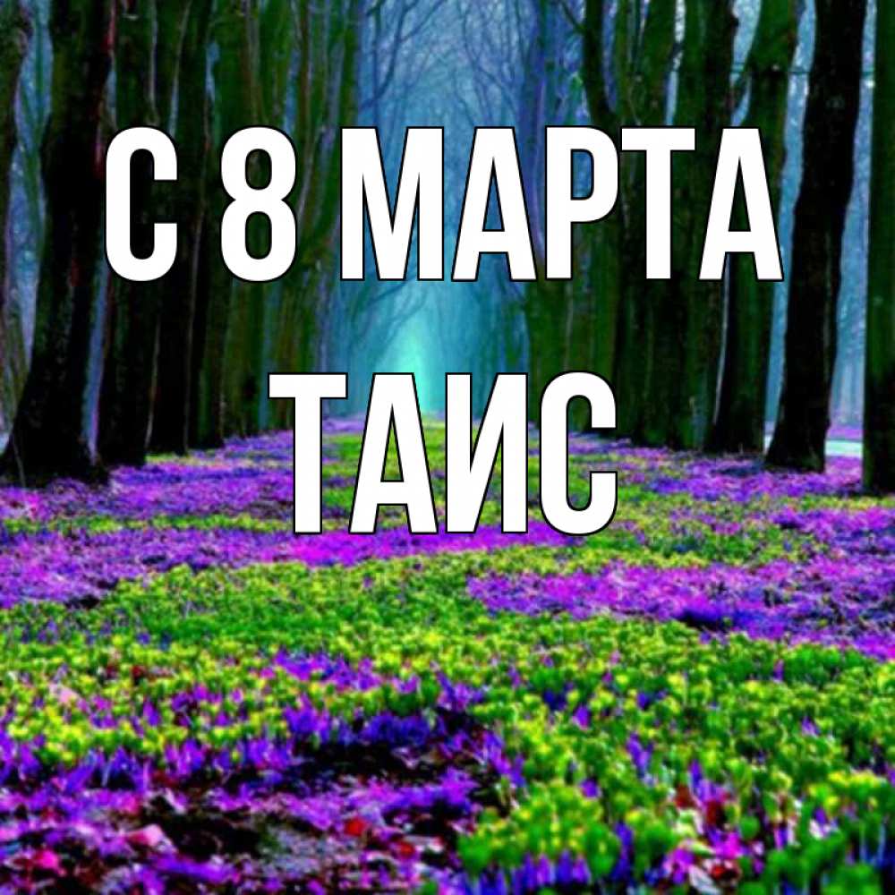 Открытка на каждый день с именем, Таис С 8 МАРТА фиолетовые цветы в лесу 1 Прикольная открытка с пожеланием онлайн скачать бесплатно 