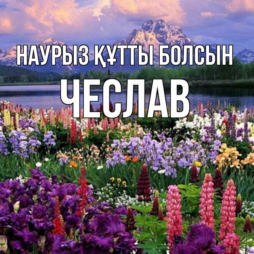 Открытка на каждый день с именем, Чеслав Наурыз құтты болсын наурыз Прикольная открытка с пожеланием онлайн скачать бесплатно 