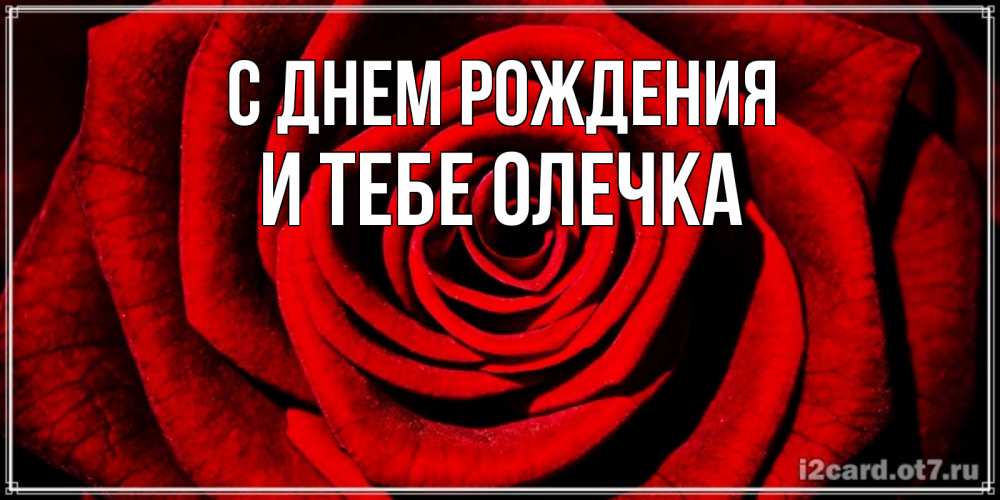 Открытка на каждый день с именем, и-тебе-Олечка С днем рождения алая роза Прикольная открытка с пожеланием онлайн скачать бесплатно 