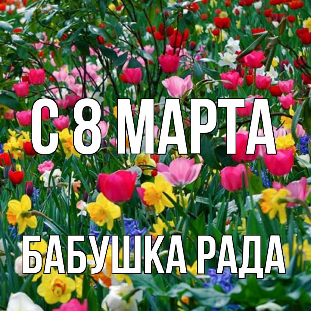 Открытка на каждый день с именем, Бабушка-Рада С 8 марта с международным женским днем поздравления для женщины Прикольная открытка с пожеланием онлайн скачать бесплатно 