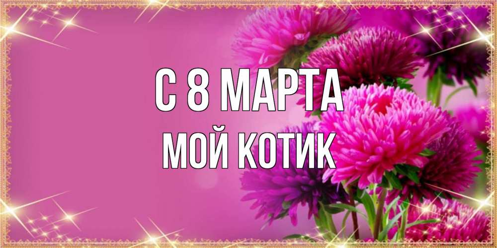 Открытка на каждый день с именем, мой-Котик С 8 МАРТА садовые цветы на 8 марта Прикольная открытка с пожеланием онлайн скачать бесплатно 