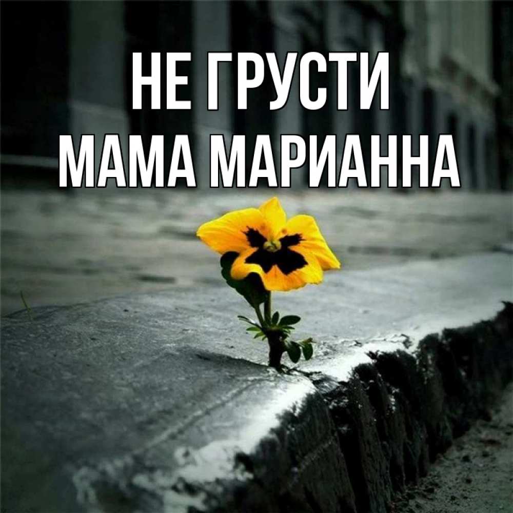Открытка на каждый день с именем, Мама-Марианна Не грусти не сдавайся Прикольная открытка с пожеланием онлайн скачать бесплатно 