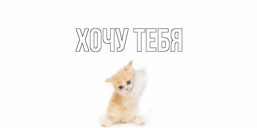 Открытка на каждый день с именем, Хочу-тебя Главная кот Прикольная открытка с пожеланием онлайн скачать бесплатно 