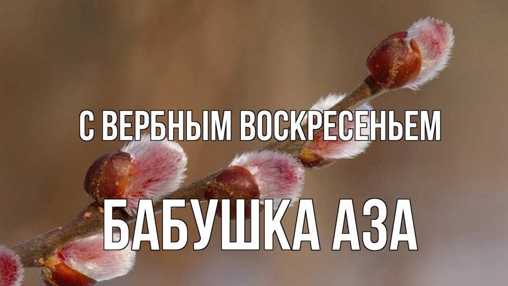Открытка на каждый день с именем, Бабушка-Аза С вербным воскресеньем верба Прикольная открытка с пожеланием онлайн скачать бесплатно 