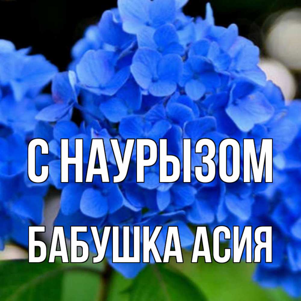 Открытка на каждый день с именем, Бабушка-Асия С наурызом синие цветы Прикольная открытка с пожеланием онлайн скачать бесплатно 