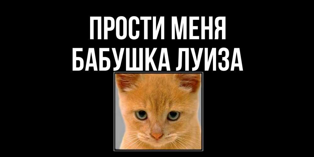 Открытка на каждый день с именем, Бабушка-Луиза Прости меня рыжий грустный кот просит прощения Прикольная открытка с пожеланием онлайн скачать бесплатно 