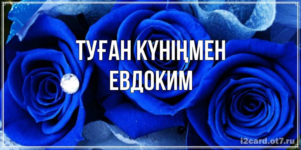 Открытка на каждый день с именем, Евдоким Туған күніңмен синие розы в росе Прикольная открытка с пожеланием онлайн скачать бесплатно 