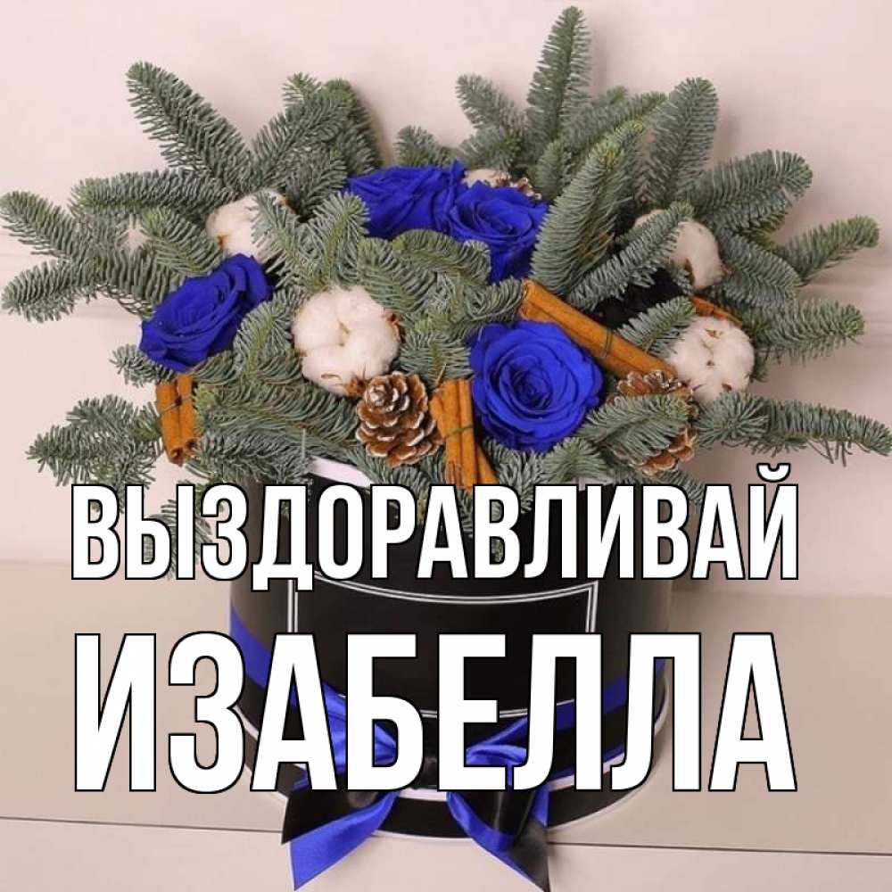 Открытка на каждый день с именем, Изабелла Выздоравливай короче кто то загрузил эти шишки Прикольная открытка с пожеланием онлайн скачать бесплатно 