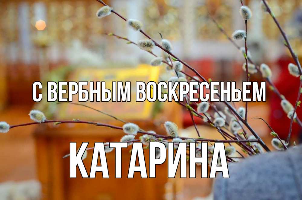 Открытка на каждый день с именем, Катарина С вербным воскресеньем верба Прикольная открытка с пожеланием онлайн скачать бесплатно 