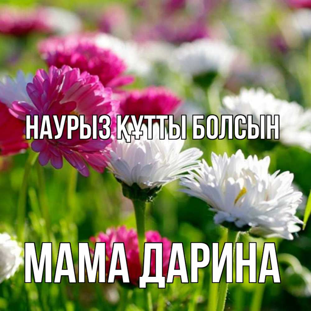 Открытка на каждый день с именем, Мама-Дарина Наурыз құтты болсын наурыз Прикольная открытка с пожеланием онлайн скачать бесплатно 