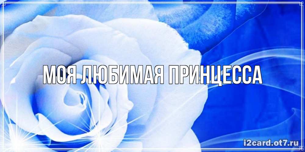 Открытка на каждый день с именем, Моя-Любимая-Принцесса Главная белая роза на голубом фоне Прикольная открытка с пожеланием онлайн скачать бесплатно 