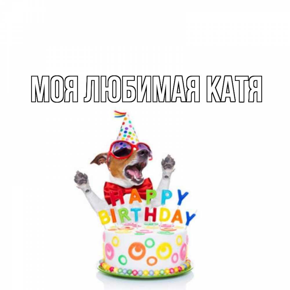 Открытка на каждый день с именем, Моя-любимая-Катя Главная тортик Прикольная открытка с пожеланием онлайн скачать бесплатно 