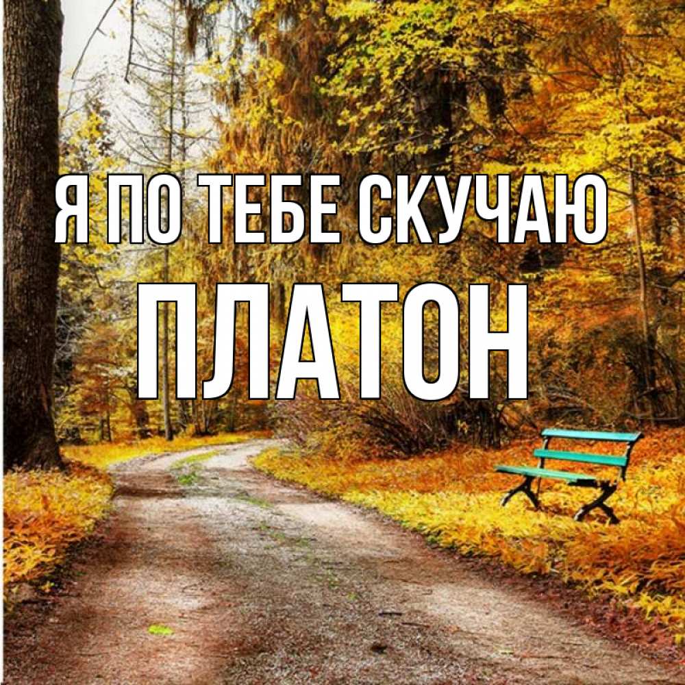 Открытка на каждый день с именем, Платон Я по тебе скучаю зеленая лавочка и осенний лес Прикольная открытка с пожеланием онлайн скачать бесплатно 
