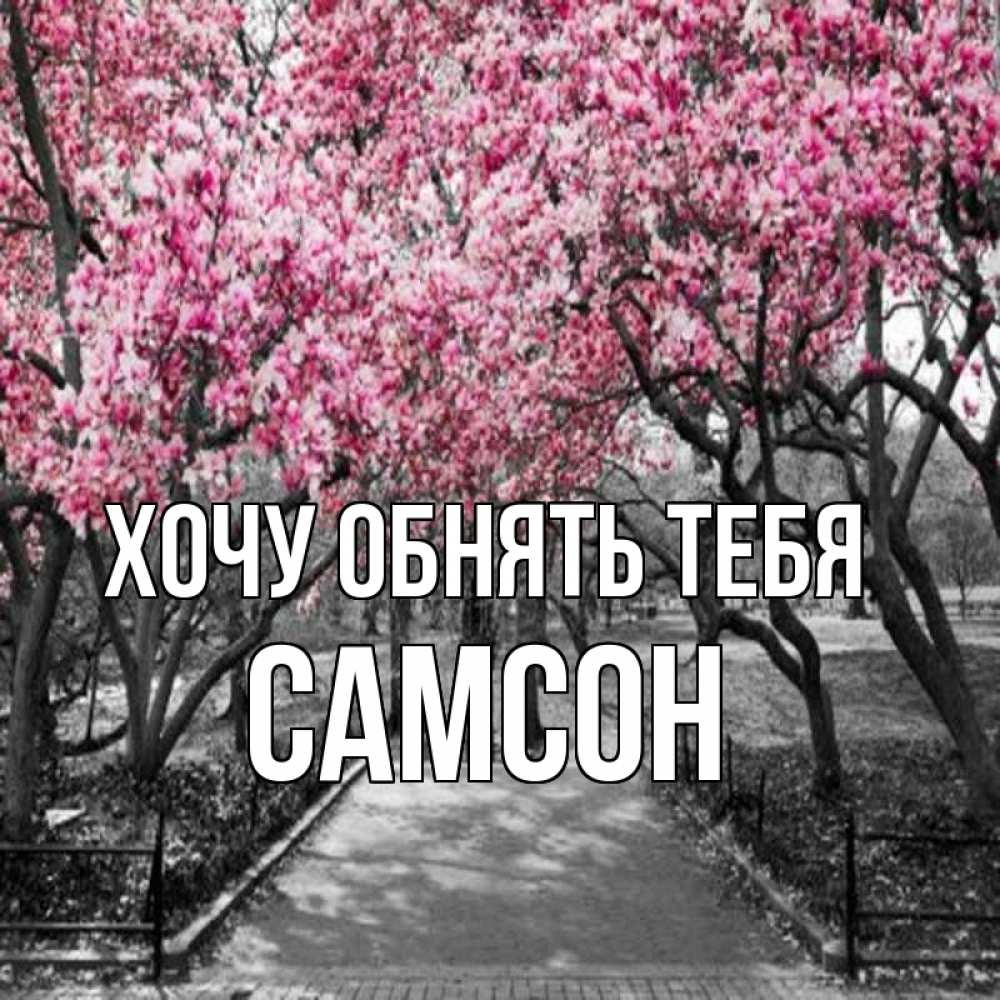 Открытка на каждый день с именем, Самсон Хочу обнять тебя обработанное фото Прикольная открытка с пожеланием онлайн скачать бесплатно 