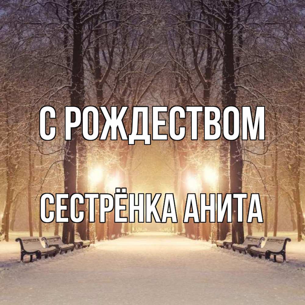 Открытка на каждый день с именем, Сестрёнка-Анита С рождеством зима, парк, фонарь, лес Прикольная открытка с пожеланием онлайн скачать бесплатно 