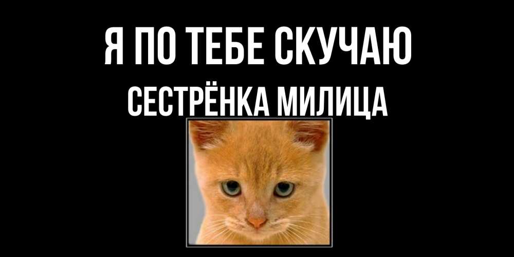 Открытка на каждый день с именем, Сестрёнка-Милица Я по тебе скучаю открытки рыжий котенок скучает по тебе Прикольная открытка с пожеланием онлайн скачать бесплатно 