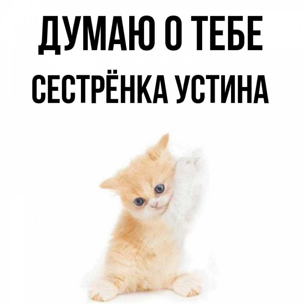 Открытка на каждый день с именем, Сестрёнка-Устина Думаю о тебе зверушки и милота Прикольная открытка с пожеланием онлайн скачать бесплатно 
