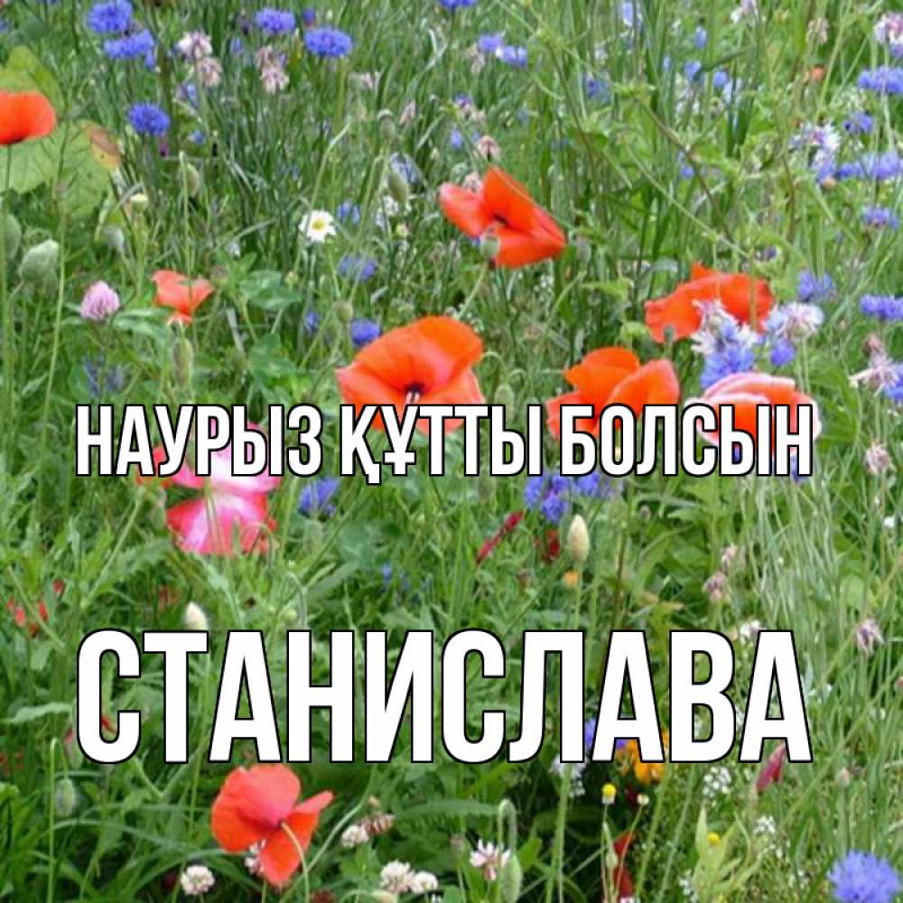Открытка на каждый день с именем, Станислава Наурыз құтты болсын наурыз  4 Прикольная открытка с пожеланием онлайн скачать бесплатно 