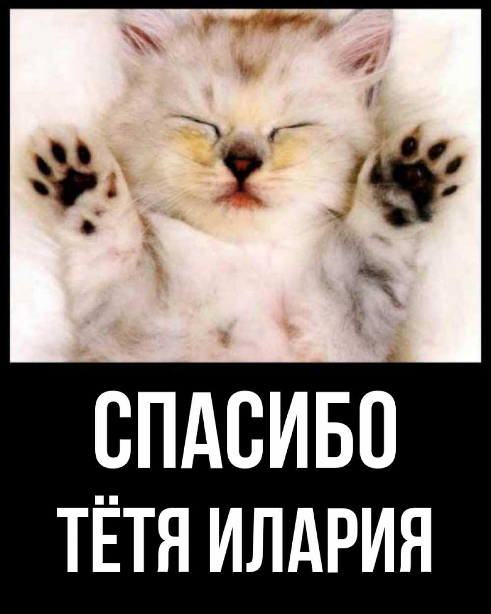 Открытка на каждый день с именем, Тётя-Илария Спасибо маленький котенок Прикольная открытка с пожеланием онлайн скачать бесплатно 