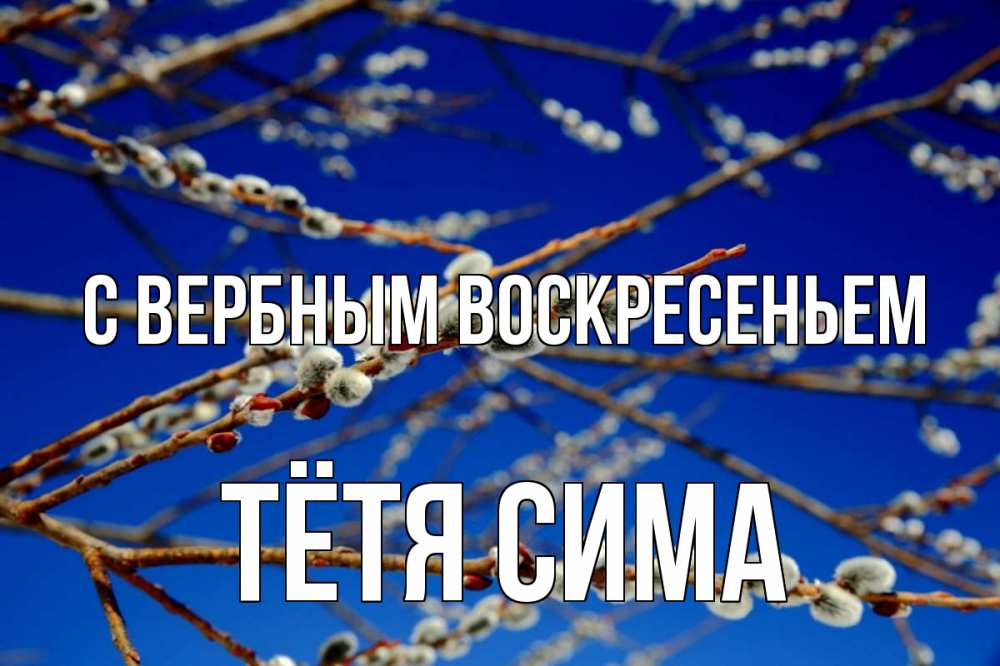 Открытка на каждый день с именем, Тётя-Сима С вербным воскресеньем верба Прикольная открытка с пожеланием онлайн скачать бесплатно 
