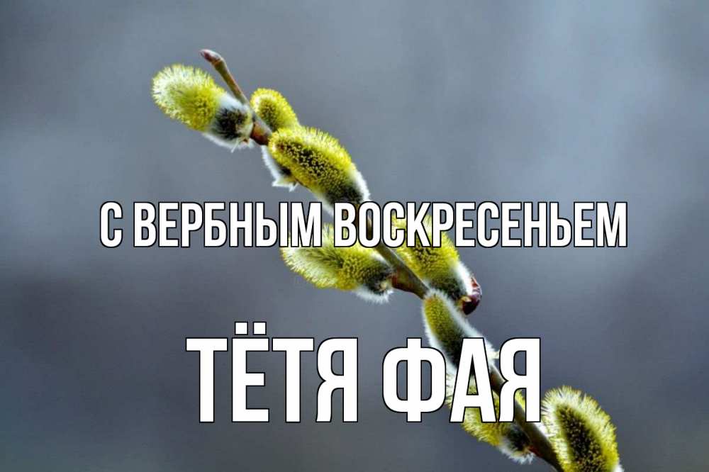 Открытка на каждый день с именем, Тётя-Фая С вербным воскресеньем верба Прикольная открытка с пожеланием онлайн скачать бесплатно 
