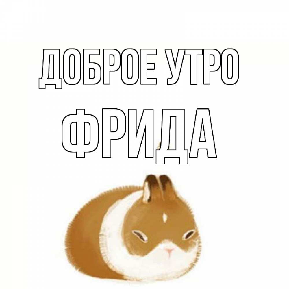 Открытка на каждый день с именем, Фрида Доброе утро хорошего утречка Прикольная открытка с пожеланием онлайн скачать бесплатно 