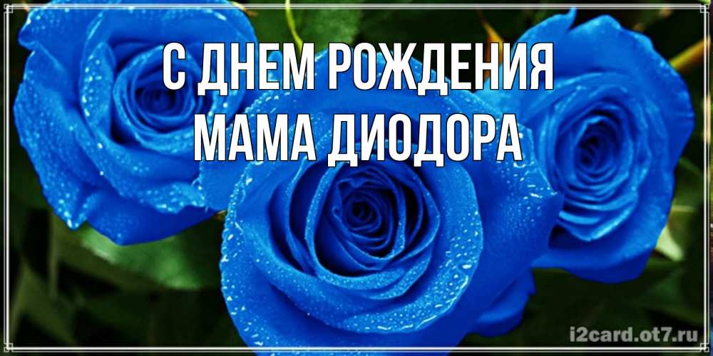 Открытка на каждый день с именем, Мама-Диодора С днем рождения розы с синим цветом Прикольная открытка с пожеланием онлайн скачать бесплатно 