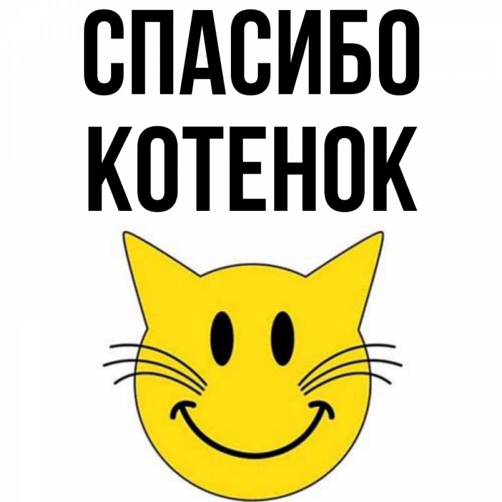 Спасибо котик картинка. Спасибо котик картинка