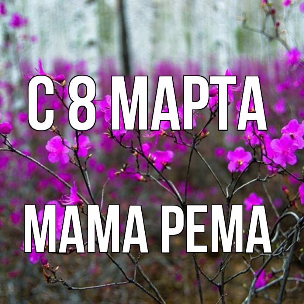 Открытка на каждый день с именем, Мама-Рема С 8 марта дикие цветы Прикольная открытка с пожеланием онлайн скачать бесплатно 