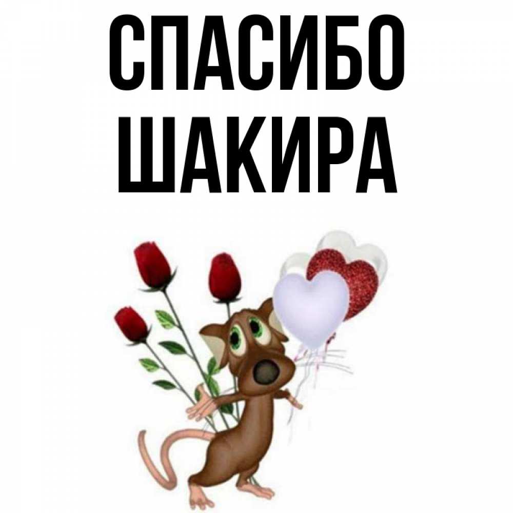 Шакир а мил