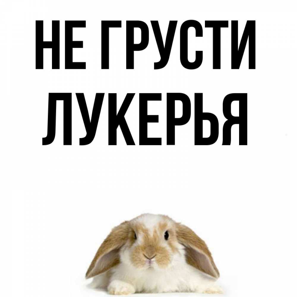 Открытка на каждый день с именем, Лукерья Не грусти коричнево белый заяц с большими ушками Прикольная открытка с пожеланием онлайн скачать бесплатно 