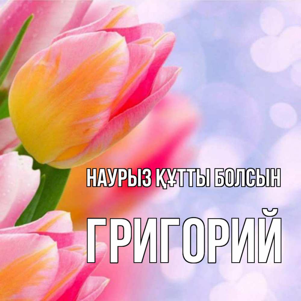 Открытка на каждый день с именем, Григорий Наурыз құтты болсын тюльпаны 2 Прикольная открытка с пожеланием онлайн скачать бесплатно 
