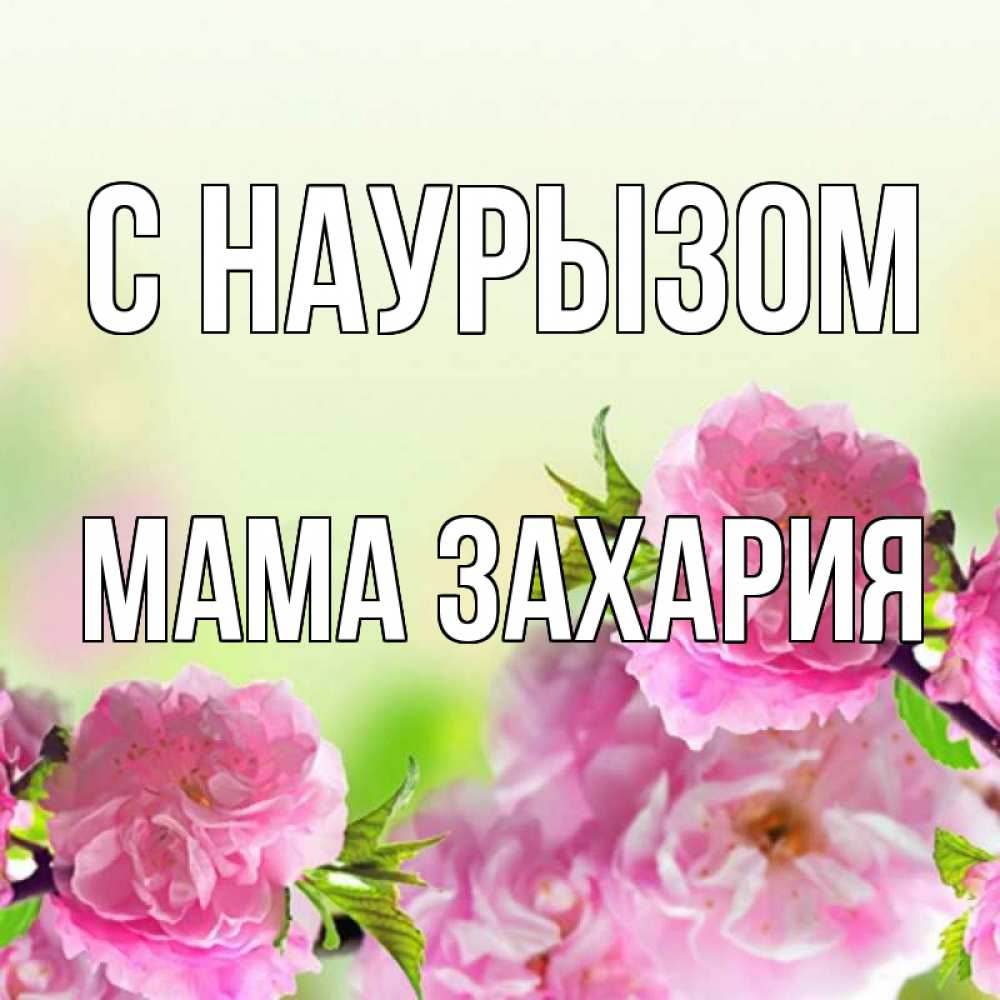 Открытка на каждый день с именем, Мама-Захария С наурызом цветы Прикольная открытка с пожеланием онлайн скачать бесплатно 