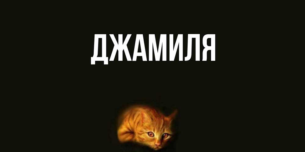 Картинка с именем джамиля